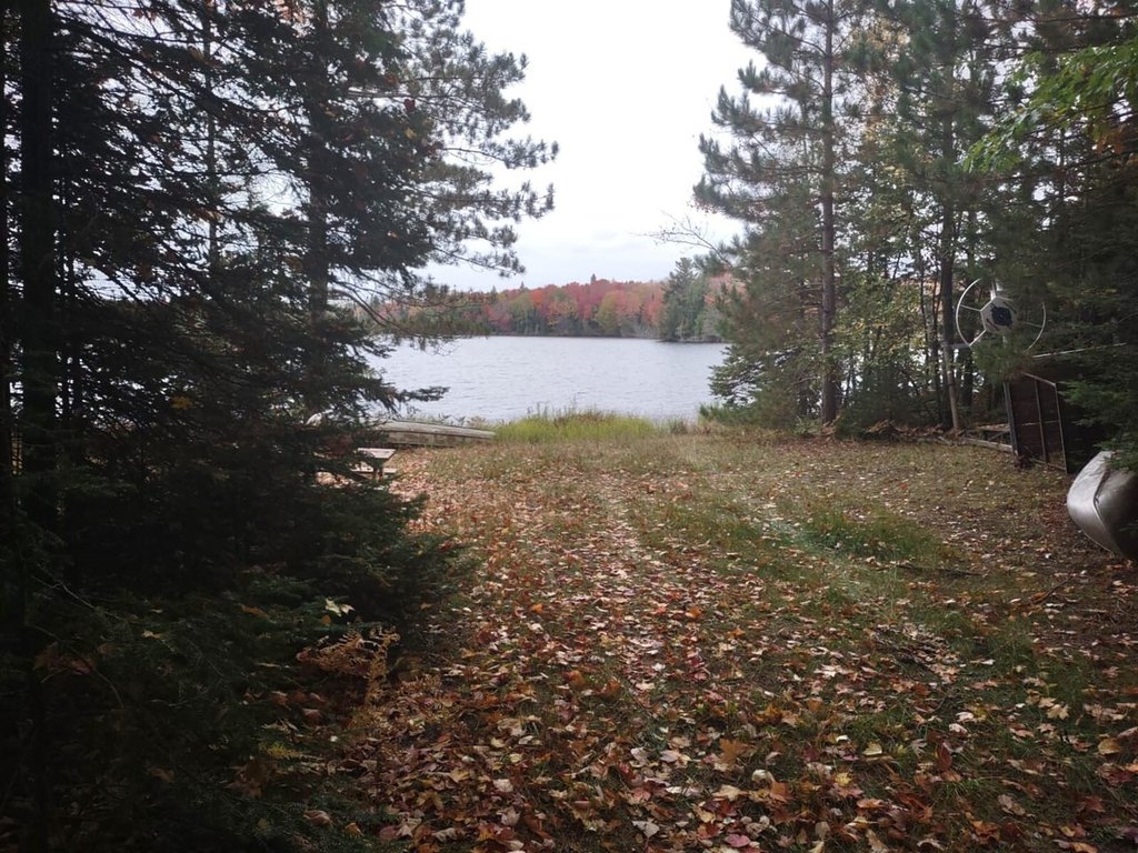 Picture 8