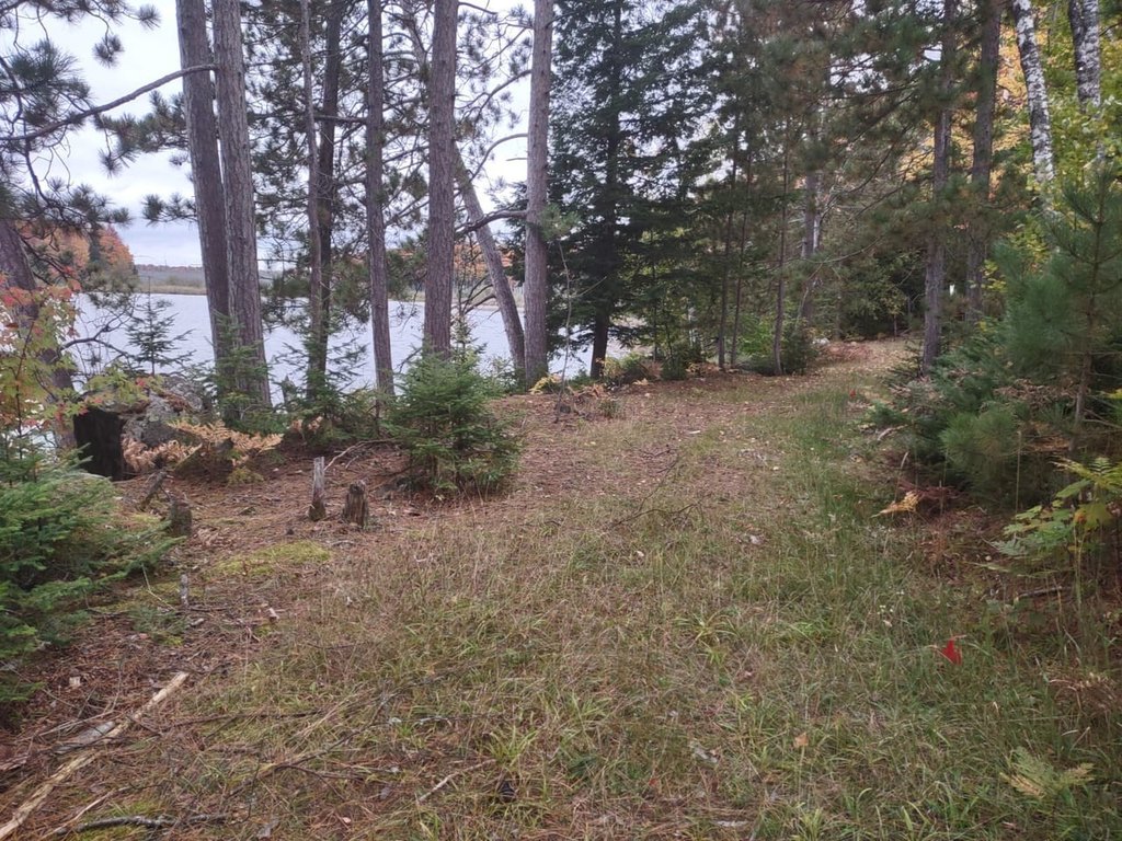 Picture 12