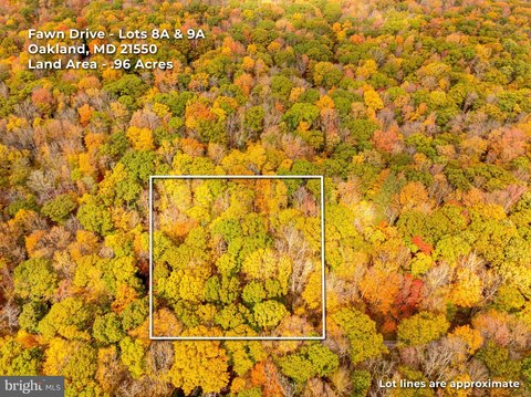 Land, OAKLAND, MD