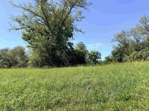 LAND, LAKE CARROLL, IL