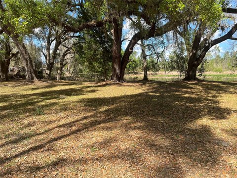 South Sumter County Land Parcel