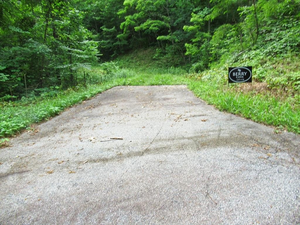 Picture 18
