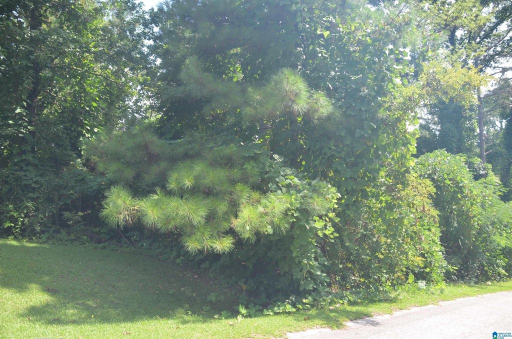 Picture 3
