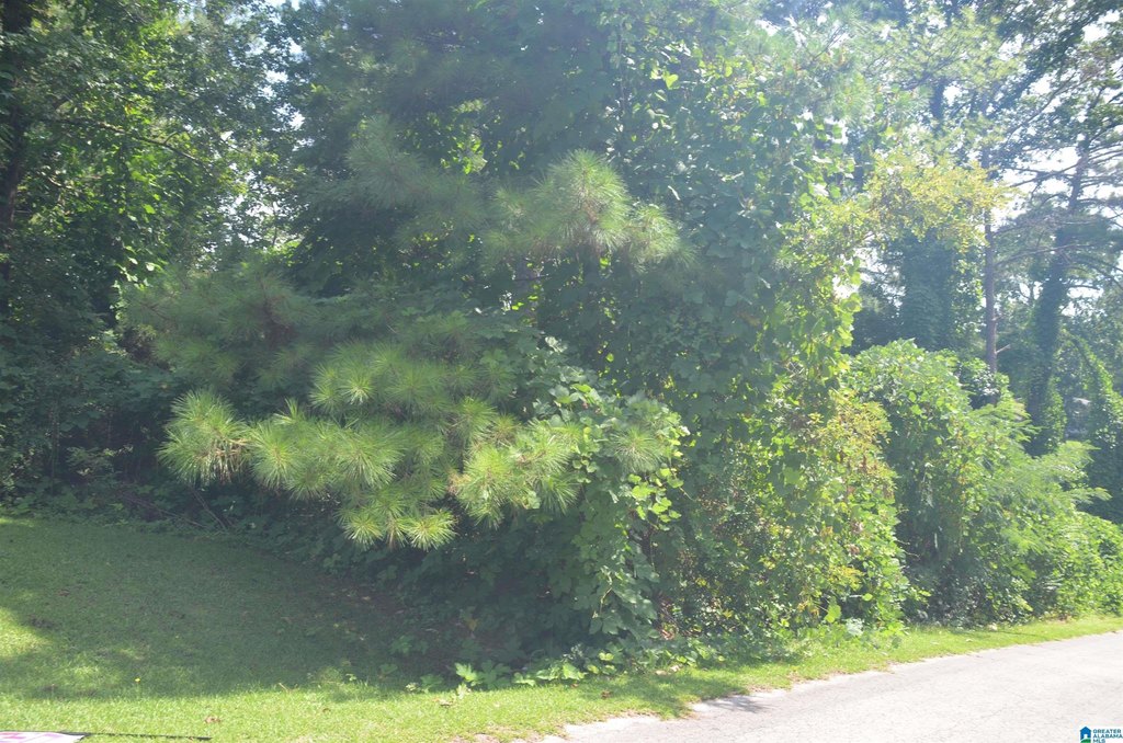 Picture 2