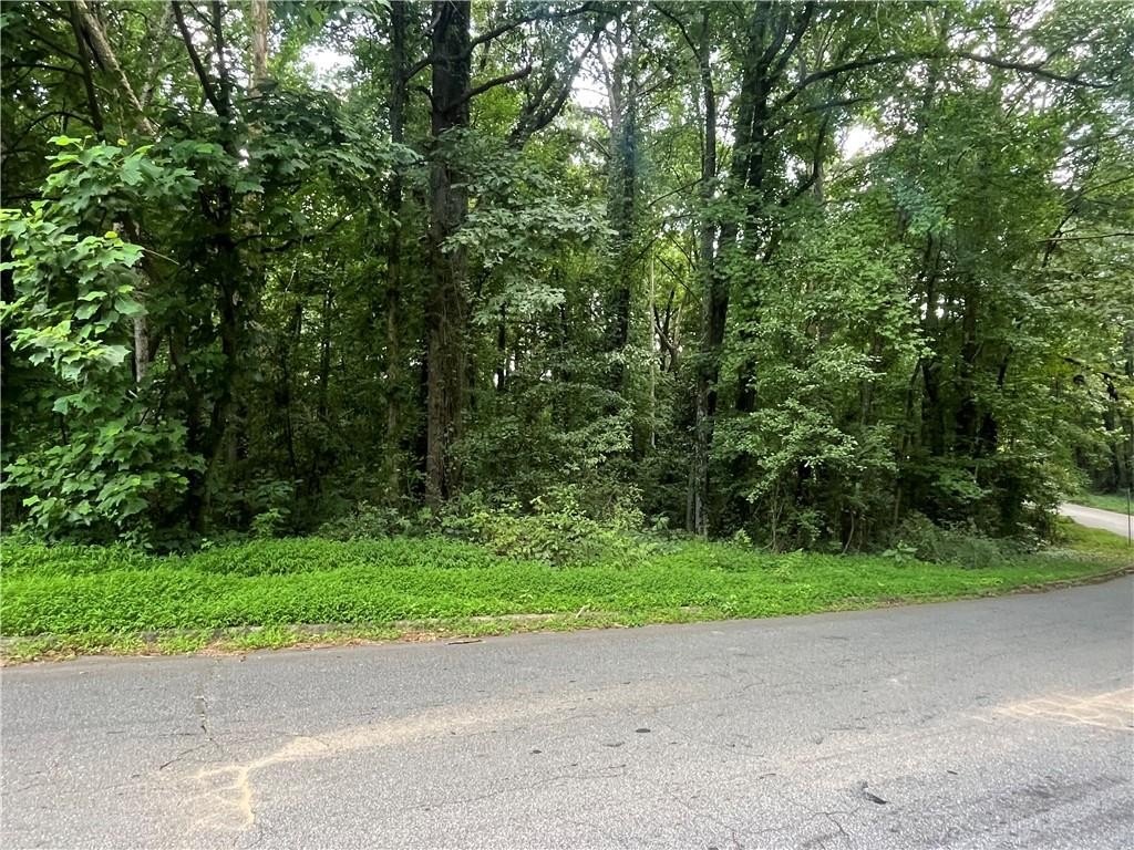 Spacious Land Parcel in Lithonia