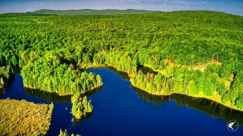 Adirondack Land with Twin Ponds