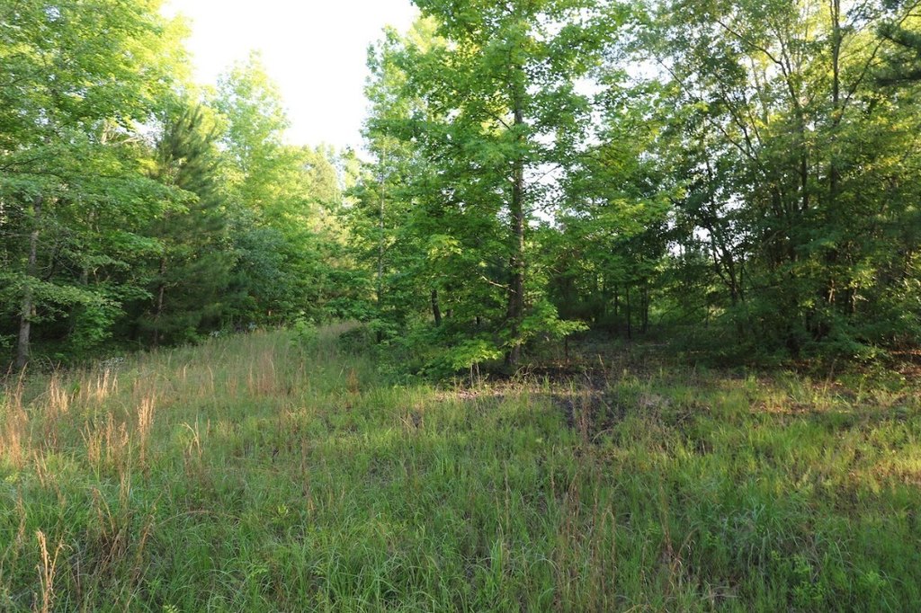 Picture 11