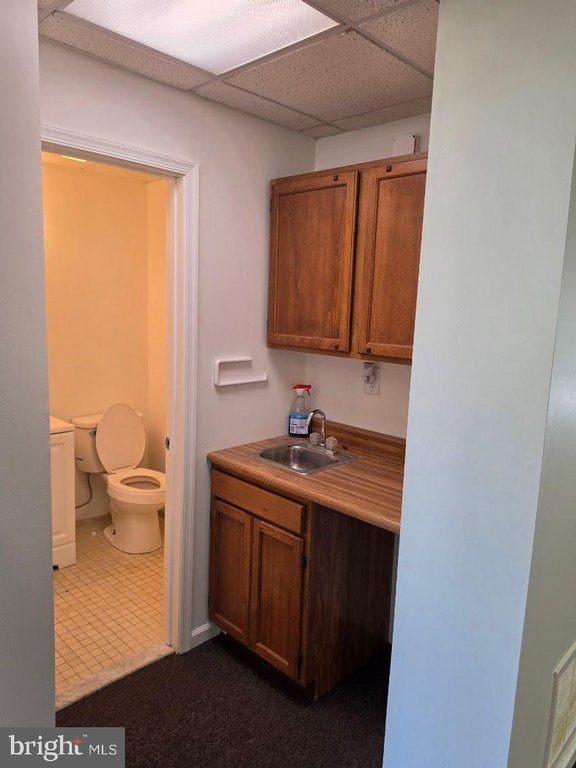 Picture 15