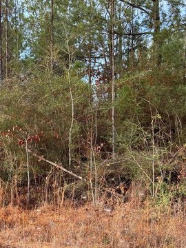 Residential Land in Gated Community