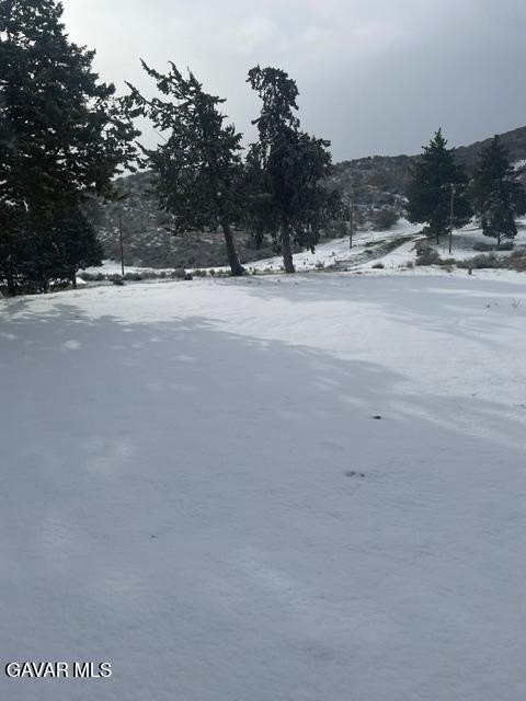 Picture 13