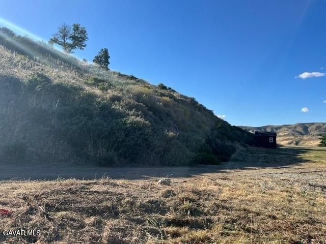 Picture 21