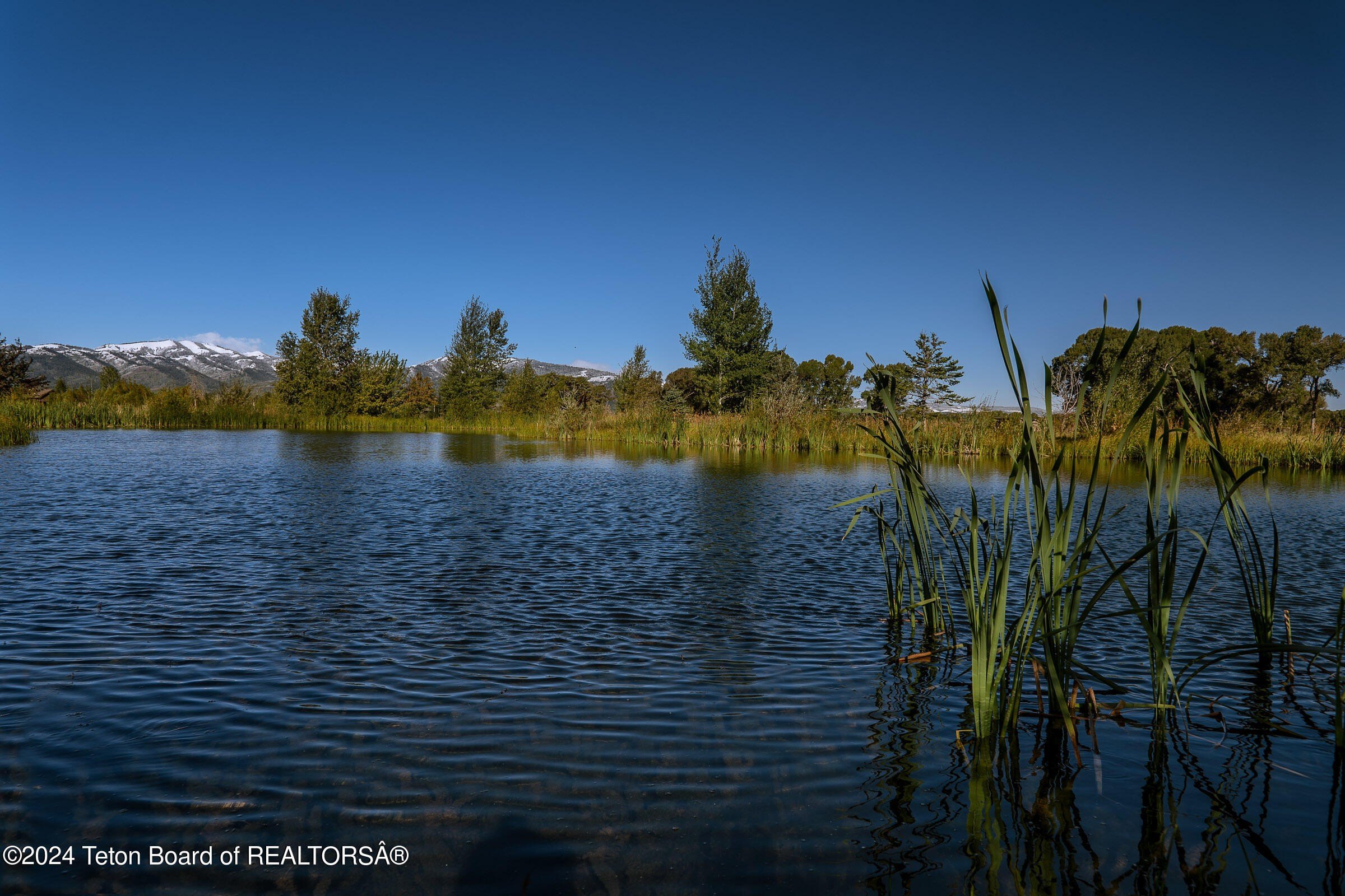 Land with Pond and Views