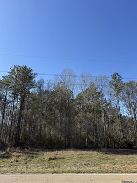 Land, Livingston, LA