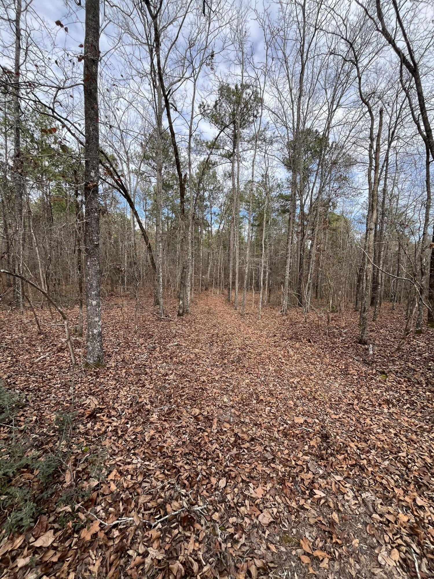 Aiken Homesite Near I-20