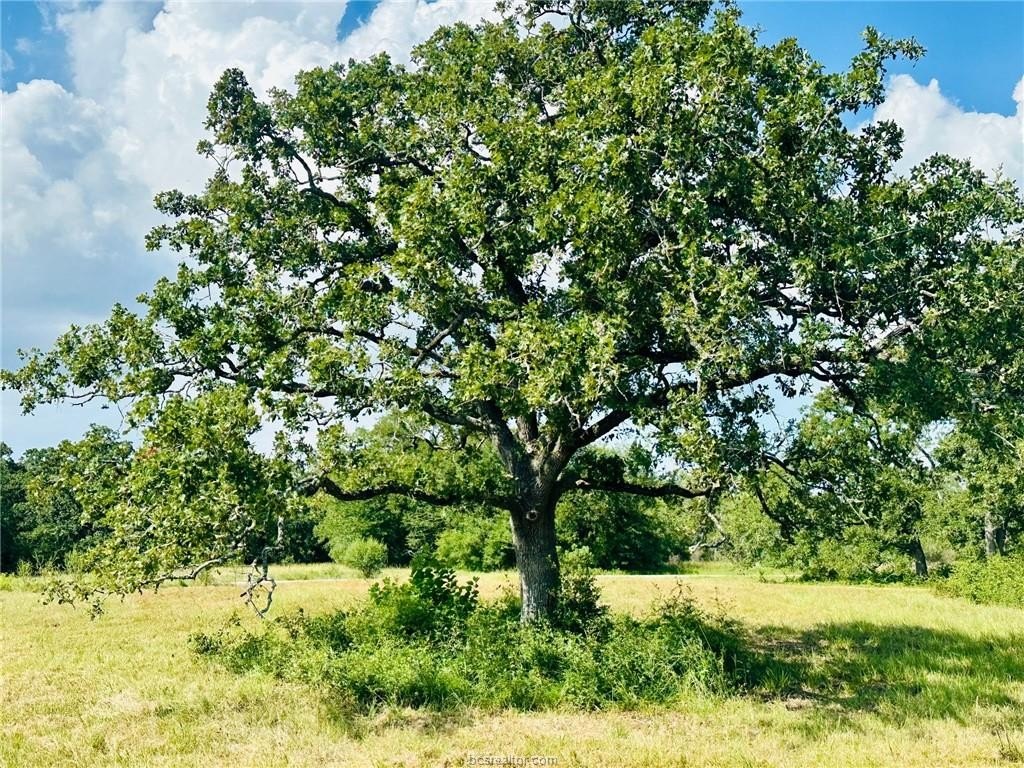 Picture 16