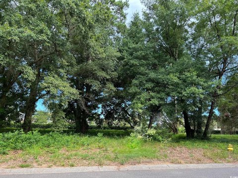 Prime Commercial Land Pawleys Island