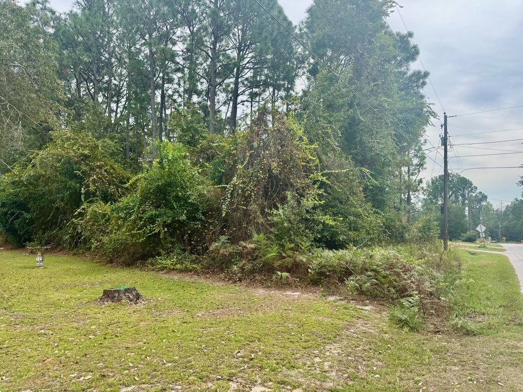 Picture 2