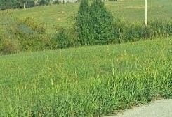 Land, Flemingsburg, KY