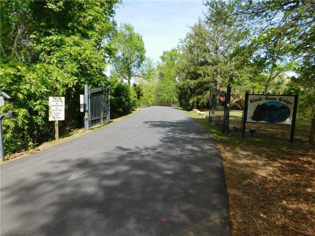 Picture 3