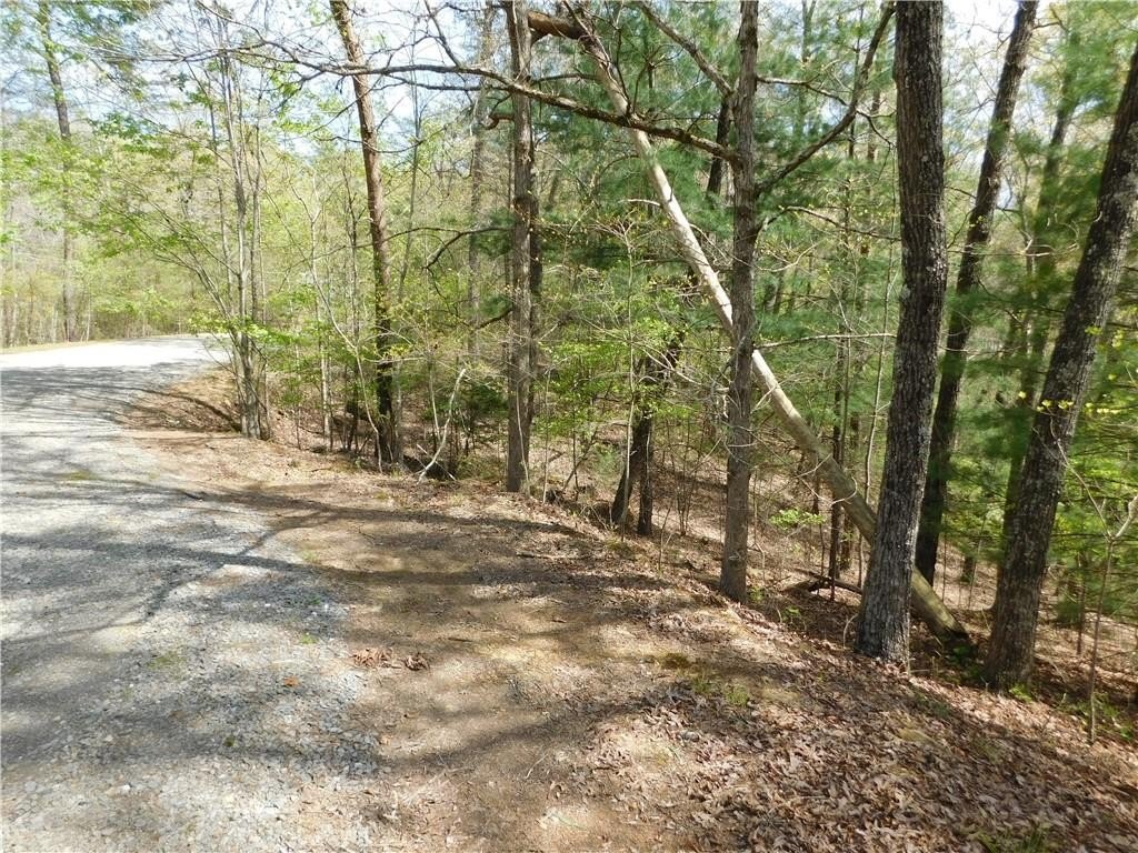 Picture 12