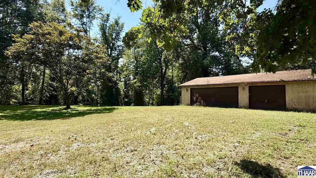 Picture 14