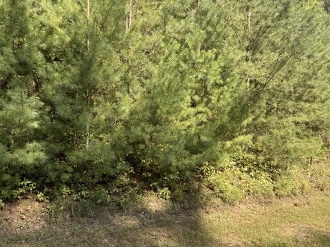 Vacant Lot, Blairsville, GA