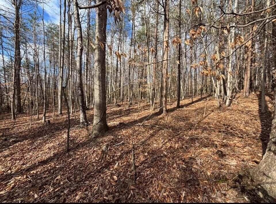 Land Near Smith Mountain Lake