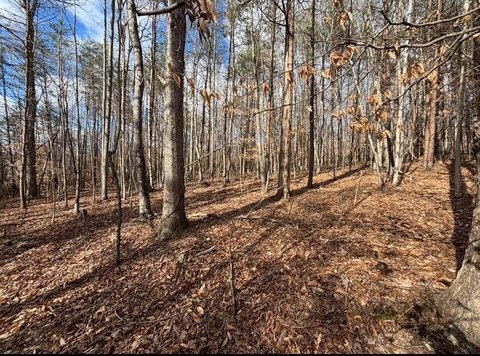 Moneta, VA Land Opportunity