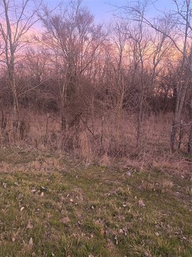 Residential Lake Texoma Lot