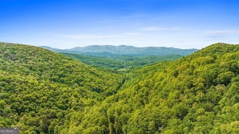 Mountain-View Wooded Land Lot