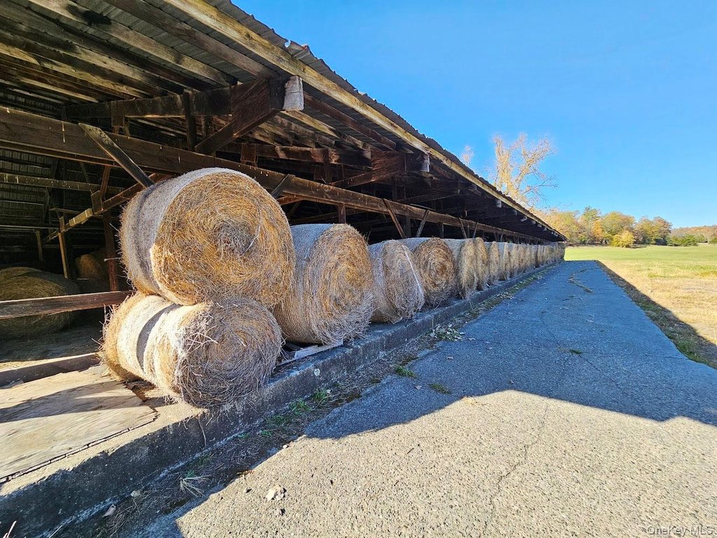 Picture 23