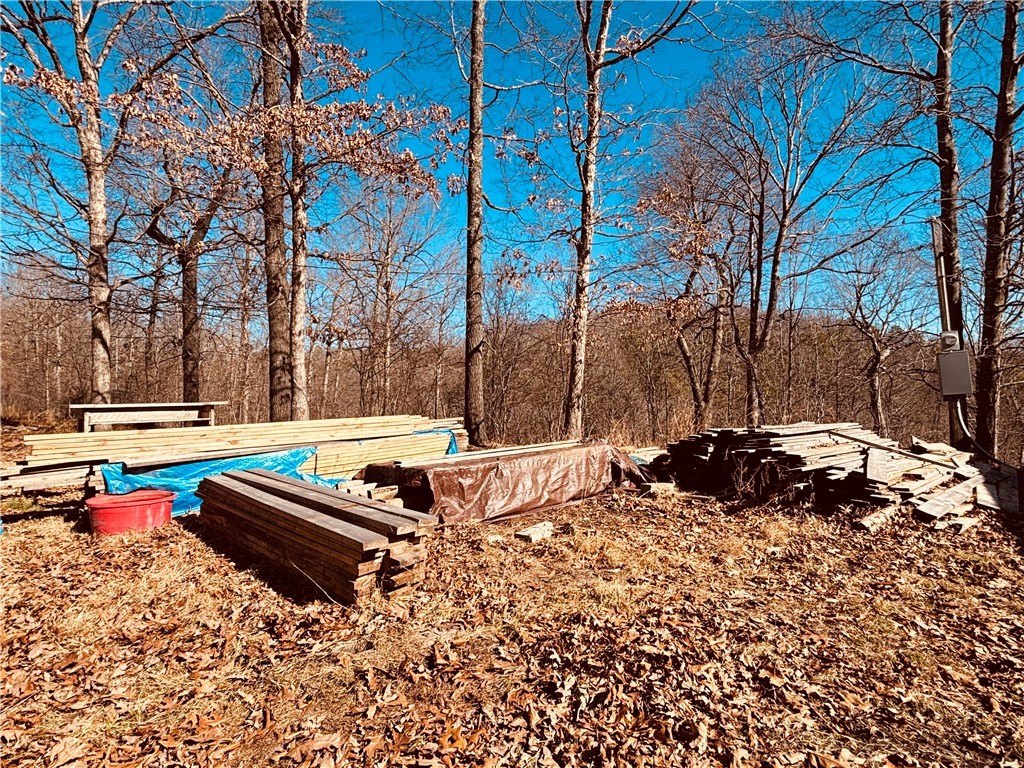 Picture 14