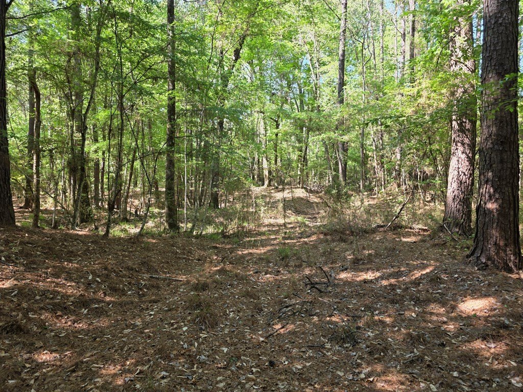 Picture 17