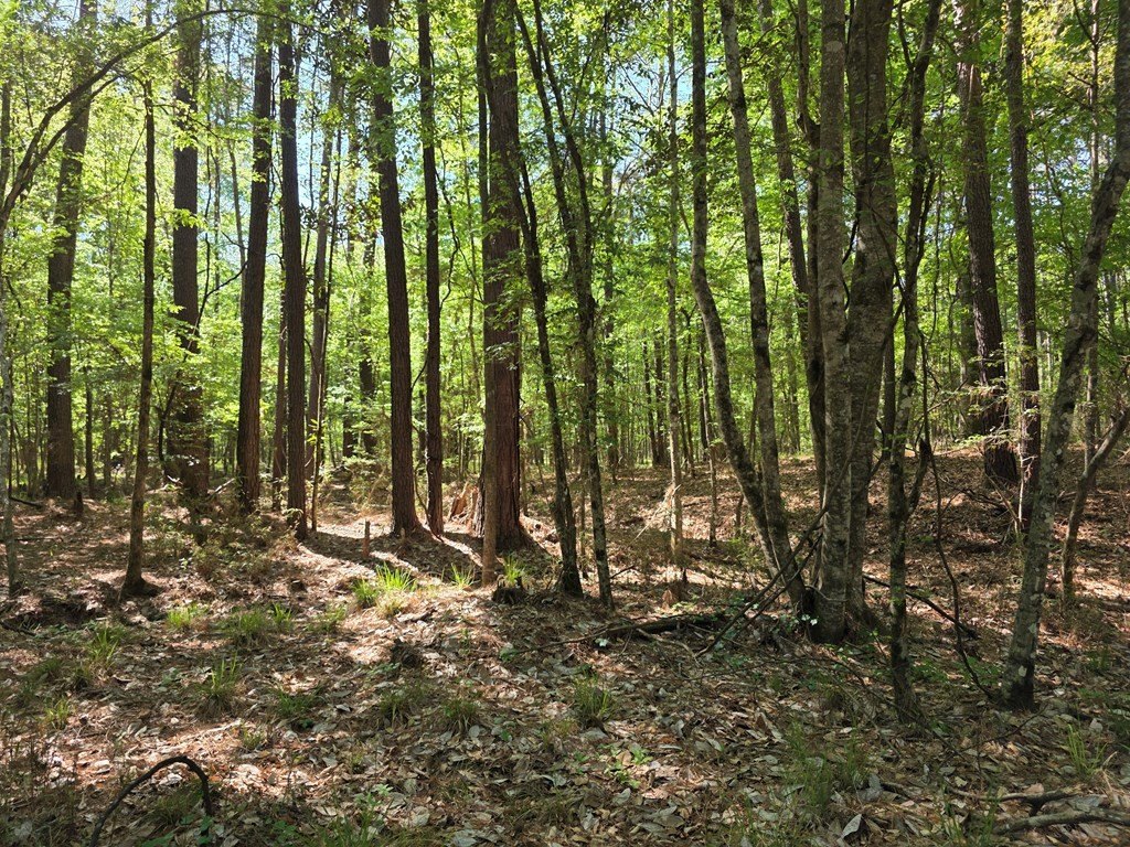 Picture 18