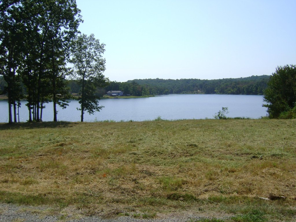 Picture 15