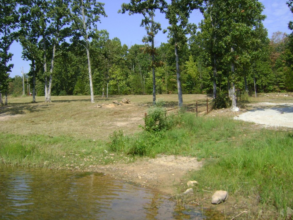 Picture 7