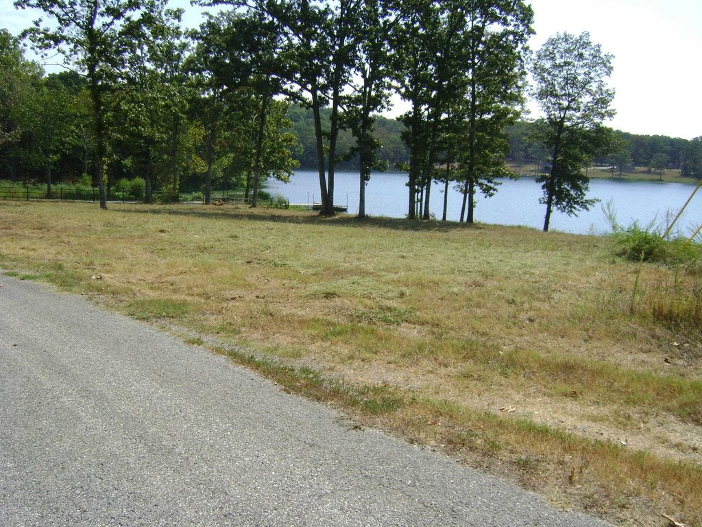 Picture 16