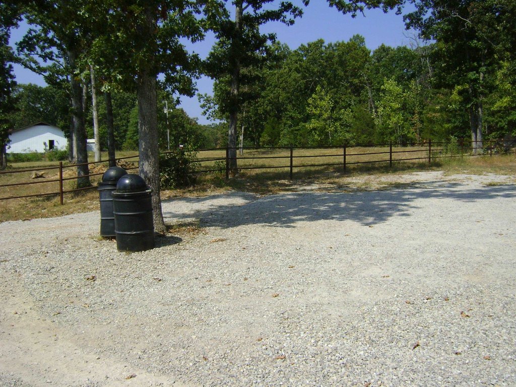 Picture 9