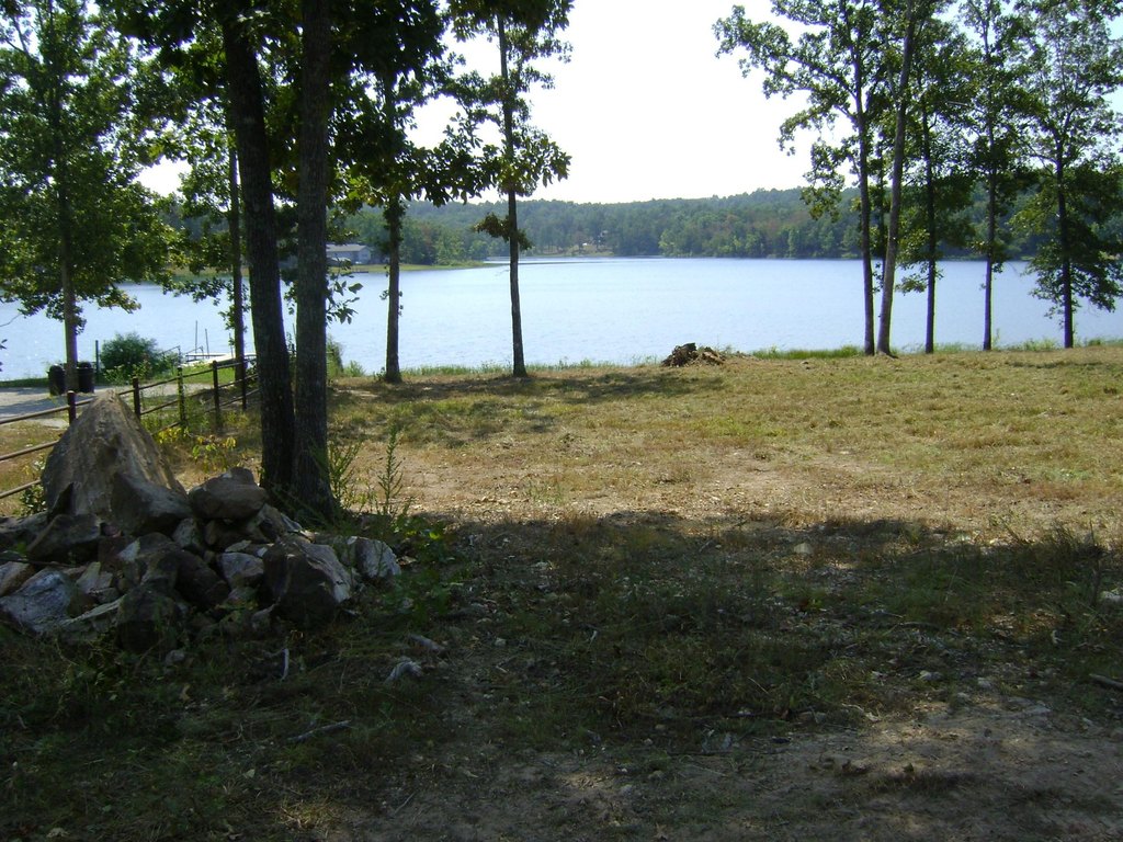 Picture 11