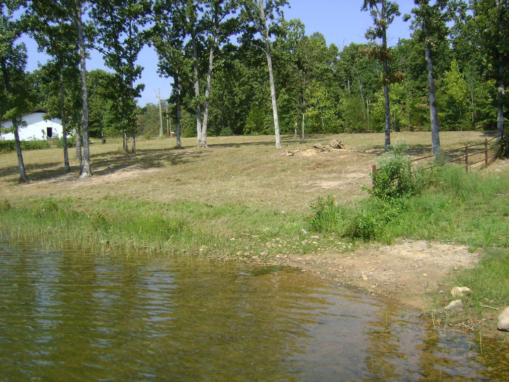 Picture 6