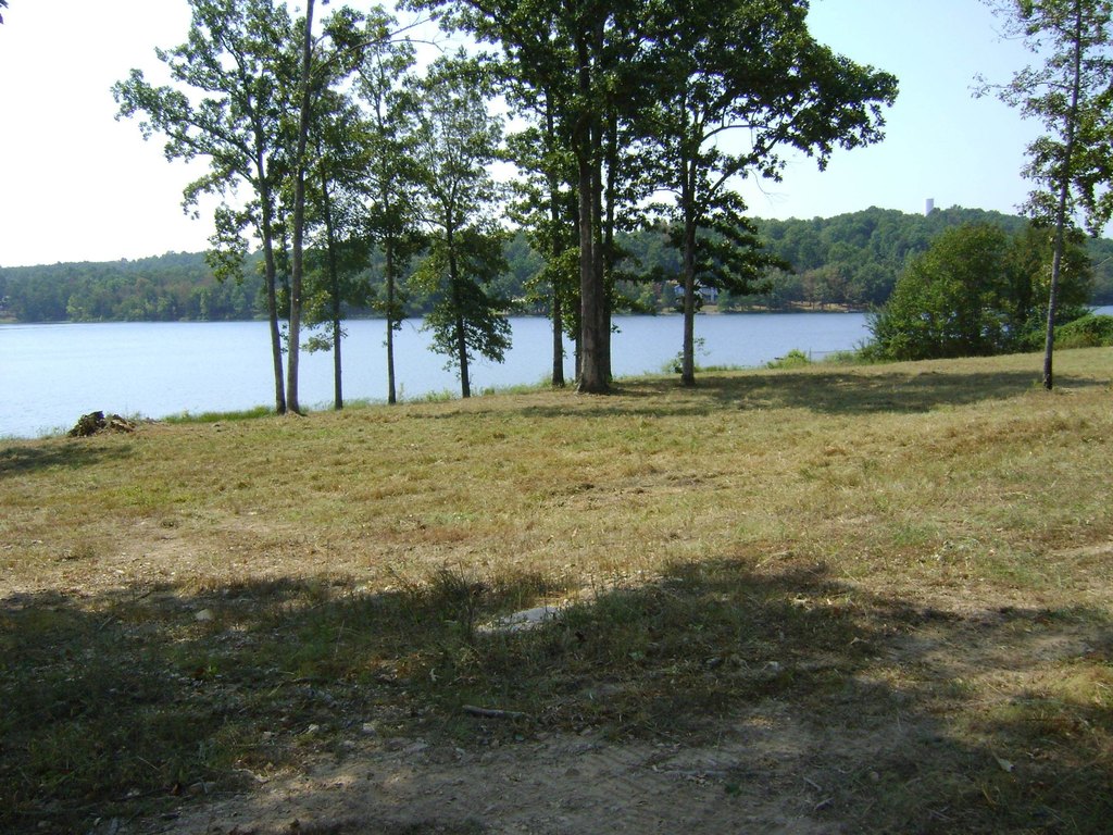 Picture 13