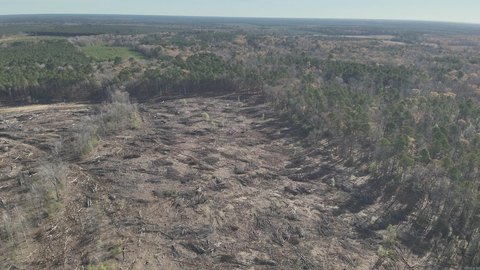 120 Acres in Locust Bayou