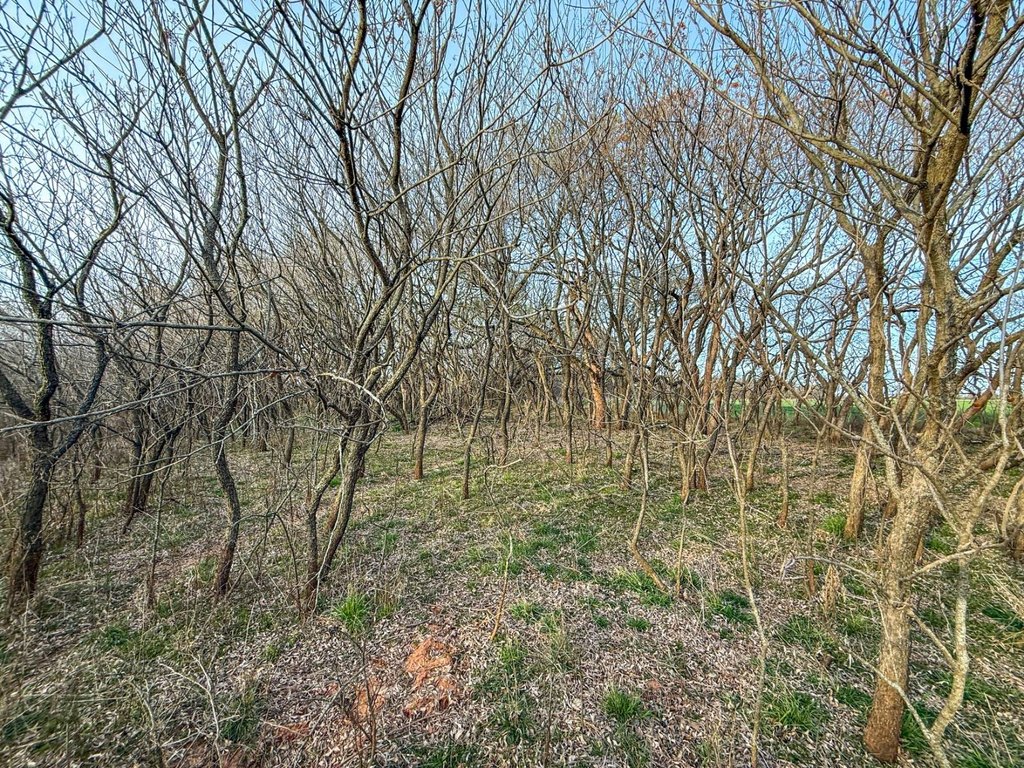 Picture 47