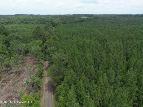 Timber Hunting Tract with Road Frontage
