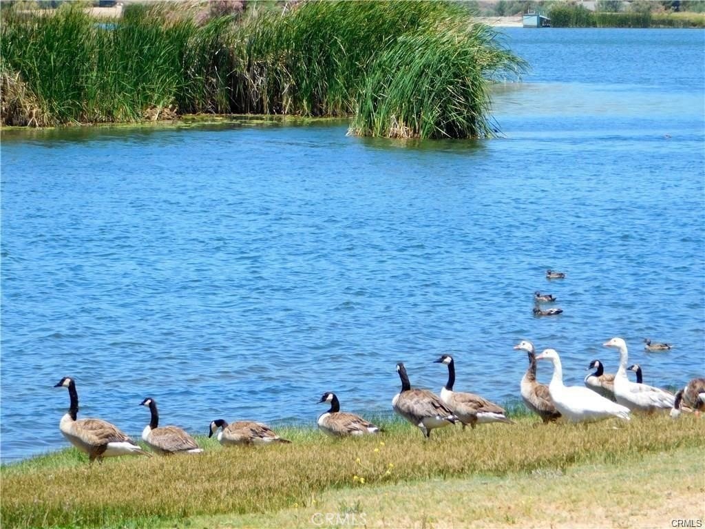 Picture 20