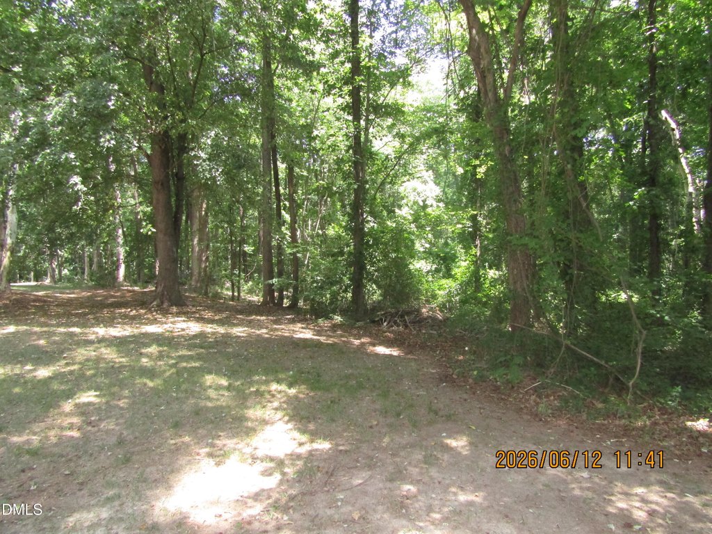 Picture 4