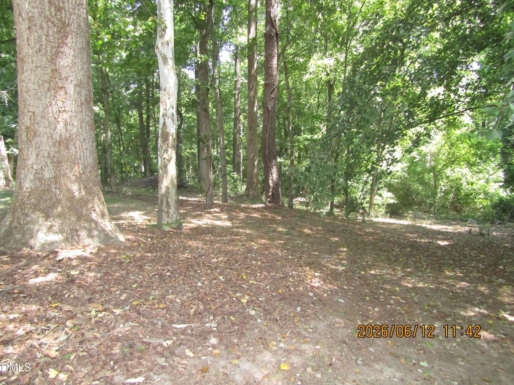 Picture 7