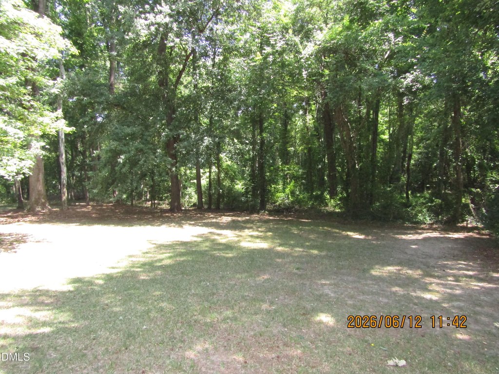 Picture 8