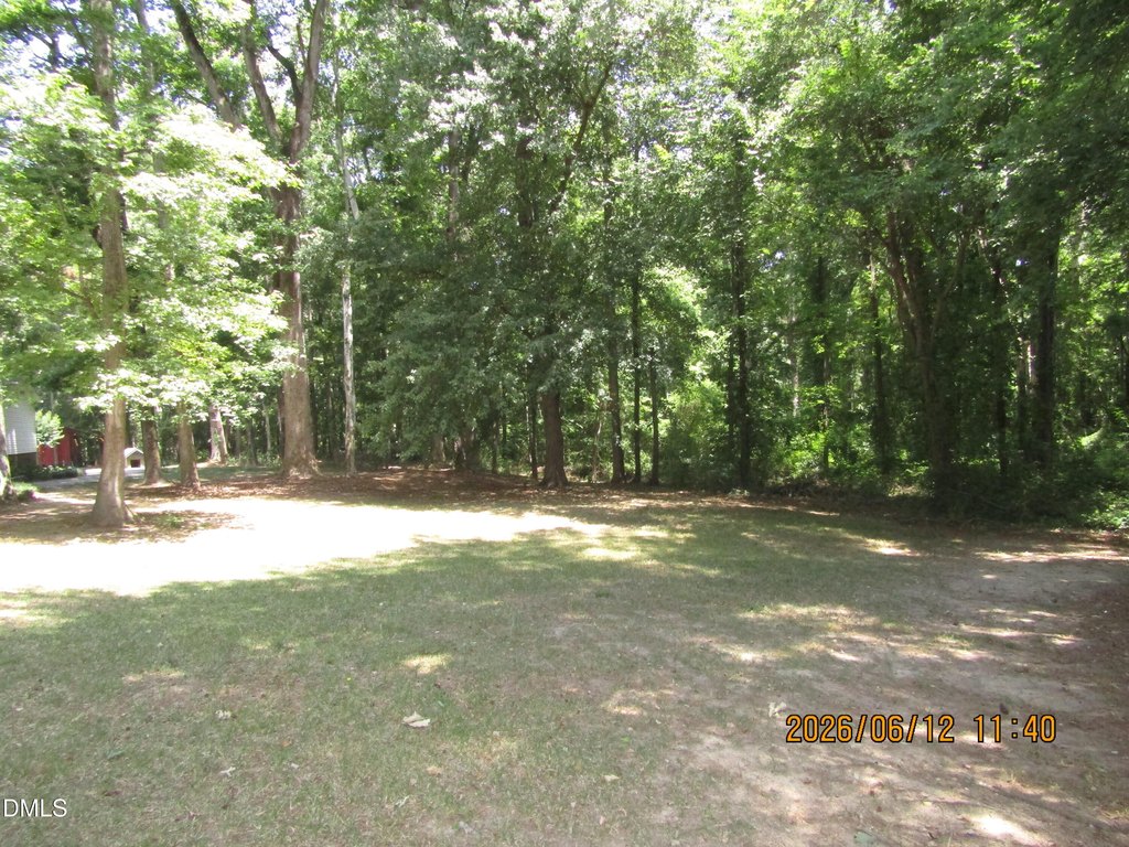 Picture 3