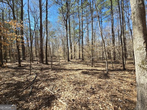 Private Wooded Lot Near River